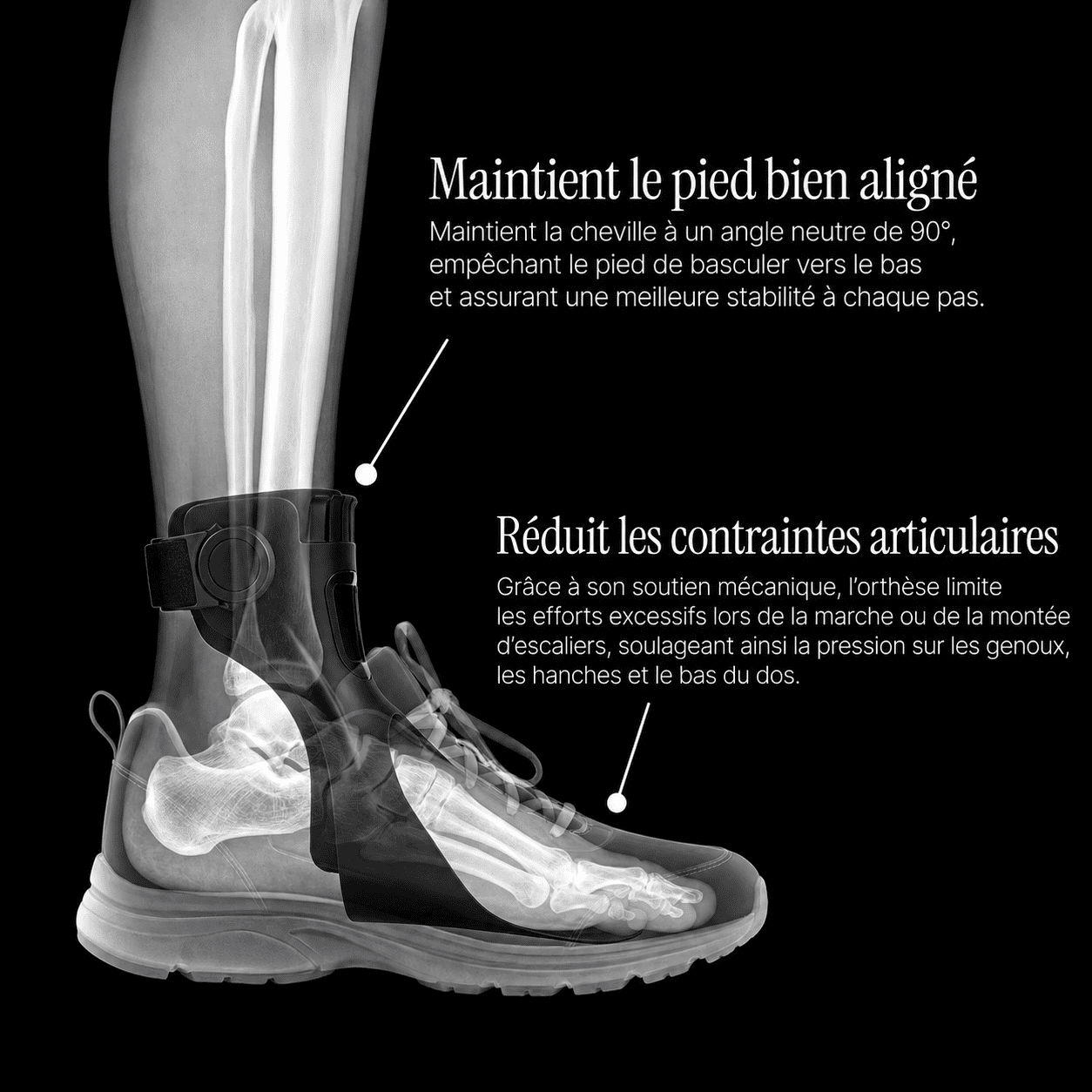 Kynox Marche Sereine™ — Orthèse releveur de pied