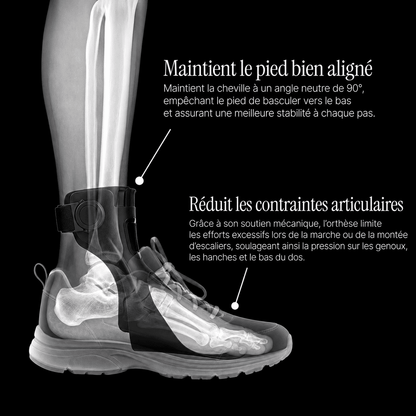 Kynox Marche Sereine™ — Orthèse releveur de pied